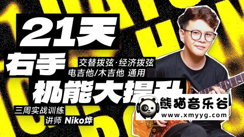 【哎呀音乐破解课程】Niko小烨-21天右手机能大提升+21天左手机能大提升百度网盘-熊猫音乐谷